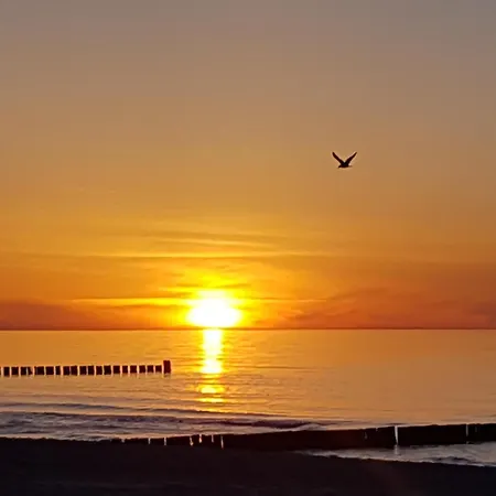 Apartamento Achtern Diek 13a Whg 1 Zingst