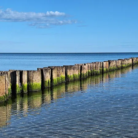 Achtern Diek 13a Whg 1 Apartamento Zingst