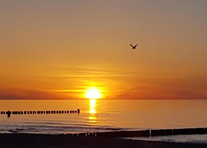 Lägenhet Achtern Diek 13a Whg 1 Zingst