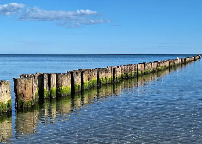 Achtern Diek 13a Whg 1 Lägenhet Zingst